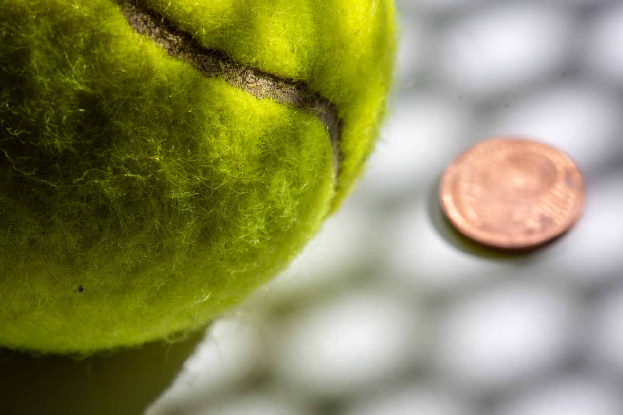 Groß (Maßstab Tennisball)